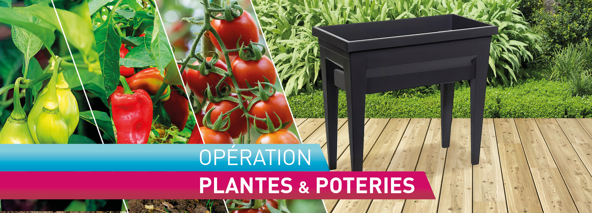 opération Plantes et Poteries - Mr. Bricolage Guadeloupe