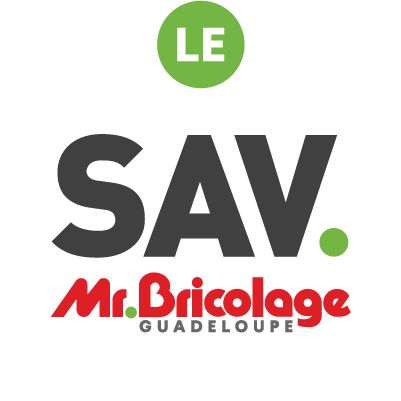 SAV Logo